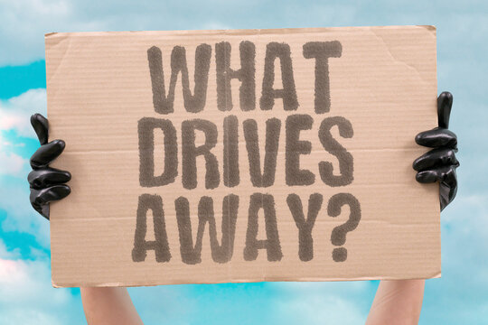 "What Drives Away?" Ongoing advice drains motivation for self-directed learning. ADVICE. MOTIVATION. LEARNING. DISCOVERY. DRIVE.