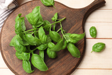 Fototapeta premium Fresh basil leaves on light wooden table, flat lay