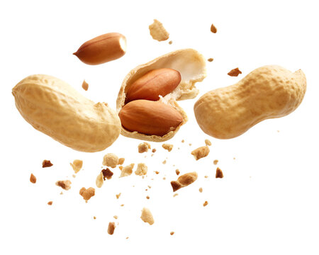 Roasted peanuts falling on black background delicious snack food isolated on a transparent background