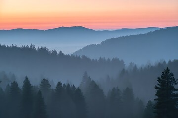 Obraz premium Misty Mountain Range at Sunrise with Orange Sky pine gn1hkoq