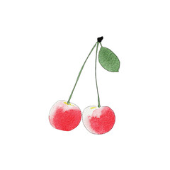 Watercolor drawing of cherry berries isolated on transparent background, sticker