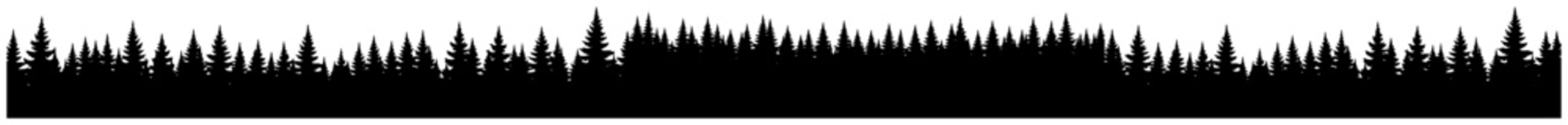 Panoramic pine forest silhouette vector illustration featuring seamless horizontal border of coniferous trees isolated on white background for nature design © Mago