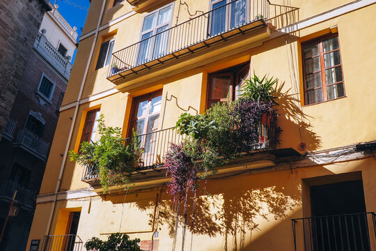 Vibrant yellow classical building in Valencia, Spain, features balconies adorned with lush green plants and colorful flowers. The sunlight casts shadows on the wall.