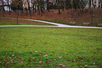 Green grass lawn covered with scattered autumn leaves in a quiet park. Trees with brown foliage, benches and a winding pedestrian path complete the peaceful outdoor scene.