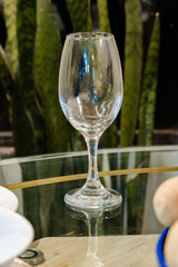 Empty wine glass on reflective glass table with snake plants in background.