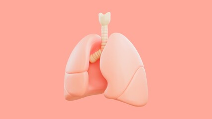 3D Respiratory Organ Illustration Human Lungs Anatomy Background - 1