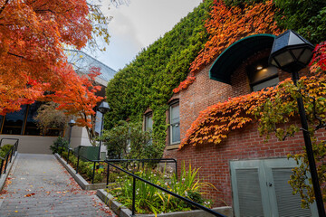 Chautauqua Park Scenic Autumn Foliage in Ashland, Oregon