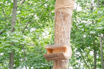 Cylindrical tree trunk transformed as bird feeder, multiple sizes and shapes Creative adaptations include hollowed wood with perch, intricate cut wooden block Natural wood and bark materials Dayli