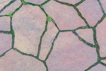 Close-up of weathered urban tile surface, brown and gray tones, subtle texture variations, horizontal lines, raised tiles, diffuse lighting