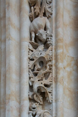 Stone carving wall ornament, salamanca cathedral, spain