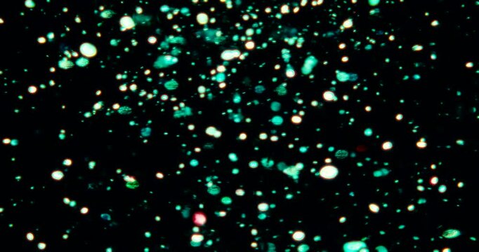 Particles float in water over a dark background, reflecting top light in green and blue hues, creating a glittering, halo-like, cosmic universe effect.