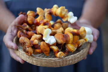 Reishi mushroom - fruiting body of Ganoderma multipileum medicinal fungi, used in traditional Chinese medicine.