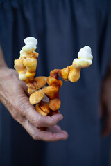 Reishi mushroom - fruiting body of Ganoderma multipileum medicinal fungi, used in traditional Chinese medicine.