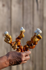 Reishi mushroom - fruiting body of Ganoderma multipileum medicinal fungi, used in traditional Chinese medicine.