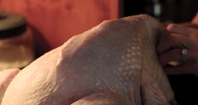 Woman rubbing butter under the skin of a turkey for Thanksgiving dinner. 