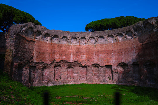 The historical landmark, Terme di Tito or Baths of Titus, and a tall olive tree in Rome, showcasing ancient civic heritage and architectural grandeur.