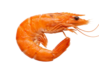 King prawn isolated on transparent background, cutout, png