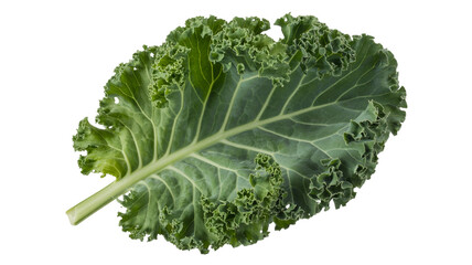 Fresh curly kale leaf png isolated on transparent background, for healthy eating, vibrant green vegetable, nutrient-rich ingredient for salads