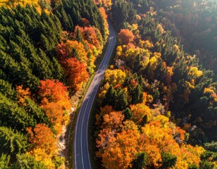 Obraz premium Aerial view of winding road through colorful autumn forest