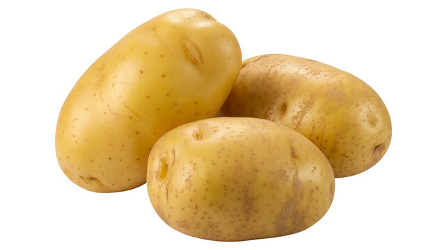 Fresh Yukon gold potatoes  png  isolated on transparent background, ready for healthy cooking and delicious meals with versatile flavor profile