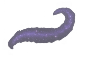 Abstract purple cosmic trail of glittering stars creating a stylized milky way nebula on transparent background