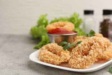 Deep fried squid rings with parsley and ketchup on grey textured table, closeup. Space for text