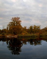 Atmospheric shot of trees and clouds mirrored in dark still water