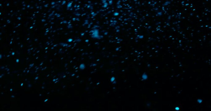 Particles float in water over a dark background, reflecting top light in green and blue hues, creating a glittering, halo-like, cosmic universe effect.