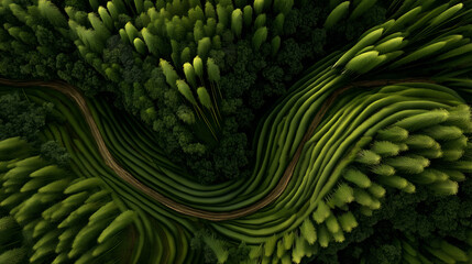 Top-down view of curved road through lush terraces and forest canopy. Ideal for editorial, nature, environmental, seasonal, or conceptual storytelling photography themes.