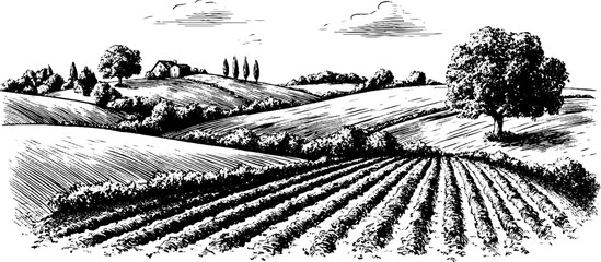 Obraz premium Engraved decorative illustration of a scenic farmland landscape for vintage design