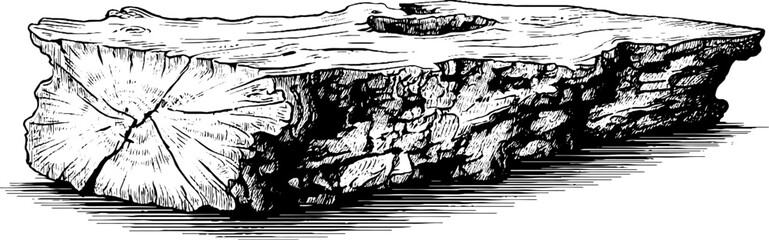 Obraz premium Engraved decorative rustic split log bench illustration for vintage design