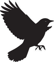 Fototapeta premium Black Silhouette of an American Robin Isolated on Transparent Background