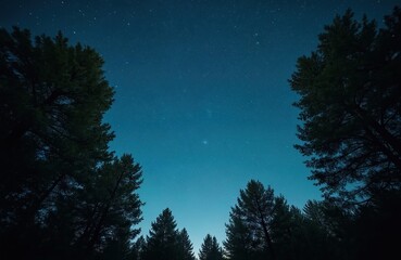 Silhouettes of tall pine trees frame a clear night sky filled with countless shining stars and a faint galaxy. This expansive celestial view evokes wonder and peacefulness.