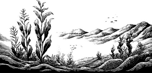 Naklejka premium Engraved decorative illustration of an underwater landscape in vintage style