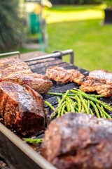 Grilling beef and asparagus on backyard barbecue