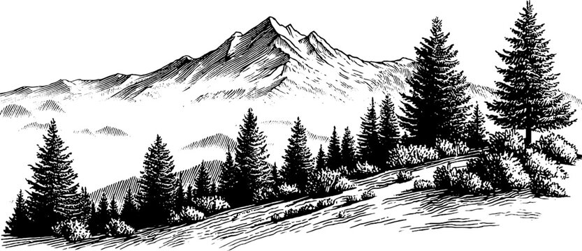Vintage engraved mountain scene with pine trees silhouette for retro design