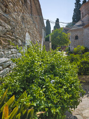 Fototapete bei efototapeten.de bestellen   