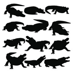 Isolated collection of alligator and crocodile silhouettes in various wild poses. Vector
