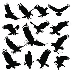 Obraz premium Eagle silhouettes collection, various poses: flying, landing, perched, isolated. Vector