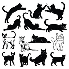 Domestic cats vector set: various breeds, poses, and silhouettes for pet designs. Vector