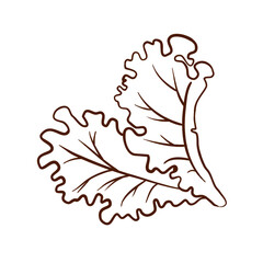 Two lettuce leaves. Vector illustration in a line art style. Clean brown lines, wavy edges, and pronounced veins are isolated on a white background. Suitable for menus, packaging, logos, fast food