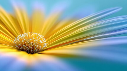 Extreme close-up of the center and petals of a yellow daisy flower, with soft focus and a gradient of blue and green colors on the petals and background.