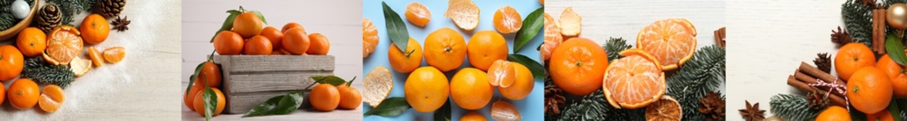 Collage with fresh tangerines, banner design. Christmas citrus fruit