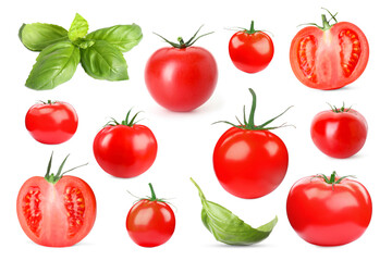 Fresh tomatoes and green basil leaves isolated on white, set
