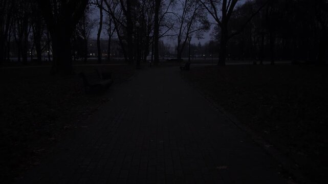 twilight park pathway at dusk, empty benches lined under bare trees, cold overcast sky, damp pavement
