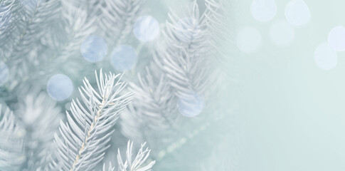 Christmas greeting card with fir tree branches and bokeh lights. Banner design