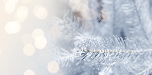 Christmas greeting card with fir tree branches and bokeh lights. Banner design