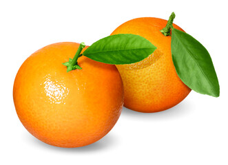 Fresh tangerines with green leaves isolated on white. Citrus fruit