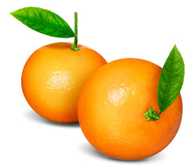 Fresh tangerines with green leaves isolated on white. Citrus fruit