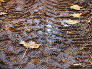 A muddy road with a leaf and truck tire prints on it. The leaf is brown and has a few spots. The mud is wet and the ground is muddy